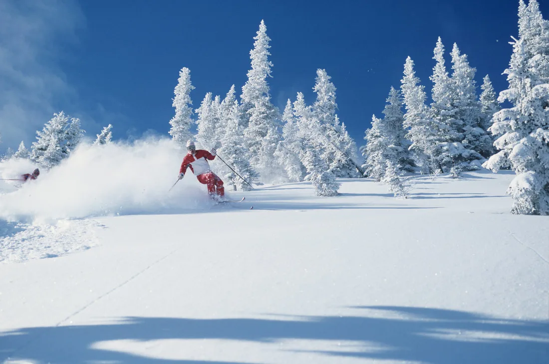 Skisport